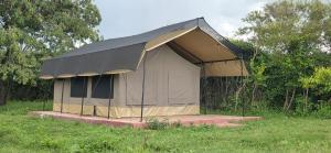 a tent in the middle of a field at Treasure camp in Maasai Mara National Reserve