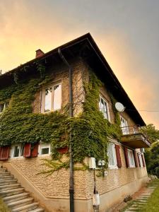 ein Gebäude, an dessen Seite Efeu wächst in der Unterkunft Cloos - Elegant Residence with Panoramic View in Braşov