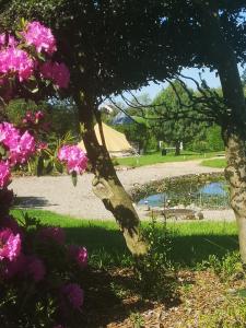 a tree with pink flowers next to a pond at Lodge18 in Châteaumeillant