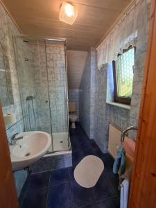 a bathroom with a sink and a shower and a toilet at Pension Hubertushöhe in Kulmbach