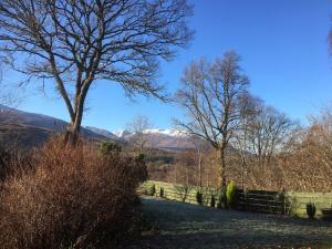 a field with a fence and a tree and mountains at Robins Nest in Roybridge