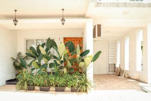a house with plants in front of a door at 3BHK Elegant Duplex Villa with Pool Access in Assagao