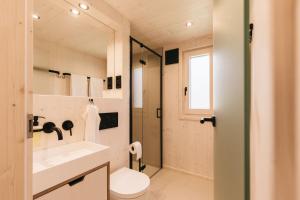 a bathroom with a toilet and a sink and a mirror at NaturResort Steinwald in Krummennaab