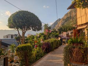 a street in a town with a mountain in the background at Apartment Biser in Kotor