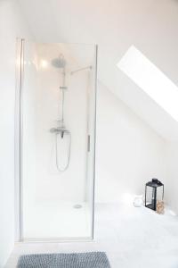 a bathroom with a shower with a glass door at statek P22 in Semněvice +14 photos