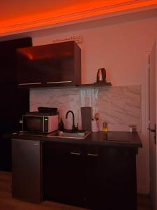 a kitchen with a sink and a microwave at Love Room Owfeah in Pointe-à-Pitre