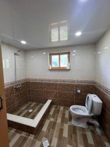 a bathroom with a toilet and a bath tub at Otisha Guesthouse in Tsaldashi