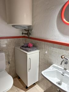 a bathroom with a sink and a toilet at Al Torchio by Fewotessin in Riazzino +30 photos