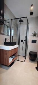 a bathroom with a shower and a sink and a toilet at Sky Panorama in Soko Banja +13 photos