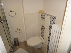 a small bathroom with a toilet and a shower at Fewo Andresen Hahnenklee in Hahnenklee-Bockswiese +10 photos