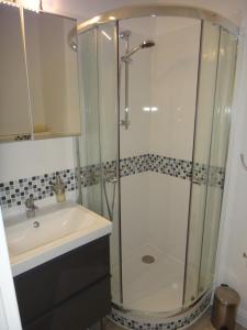 a bathroom with a shower and a sink at Fewo Andresen Hahnenklee in Hahnenklee-Bockswiese +12 photos