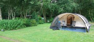 a tent in a field with a table and chairs at De Zanglijster in Erica