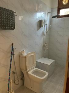 a white bathroom with a toilet and a shower at Hakuna matata Apartments in Zanzibar City