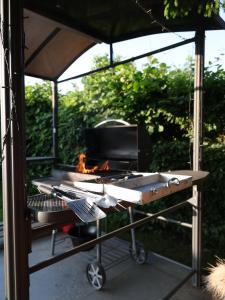 an outdoor grill with a stove and a grill at Tiny House Valea Avrigului in Avrig