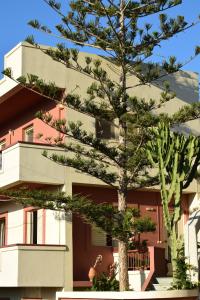 a pine tree in front of a building at Bellevue Apartments in Sitia