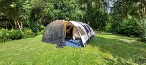 a tent in a field with a dog in it at De Zanglijster in Erica