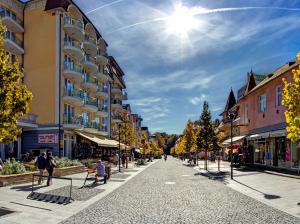 a cobblestone street in a city with buildings at Park Hotel in Hévíz