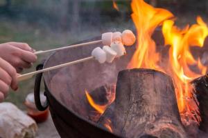 a person cooking food on a grill with fire at Oceanview Cosy Cabin in Drumaville
