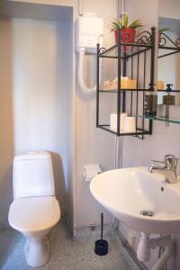 a bathroom with a toilet and a sink at Villa Storfors in Storfors +15 photos