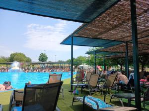 a group of people sitting in chairs in a pool at Irena Apartment near Aqua Park in Trebinje
