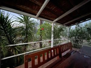 a bench on a porch with a view of a garden at Villa Pistula apartments in Ulcinj