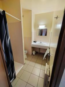 a bathroom with a sink and a toilet and a mirror at Auberge du Tarnon in Vébron