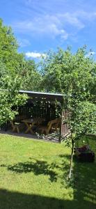 a picnic shelter with picnic tables and a tree at Apartament Wiadukt in Bolesławiec