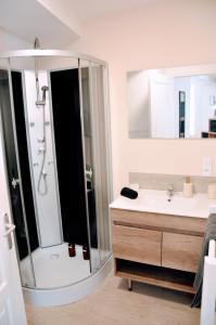 a bathroom with a shower and a sink at Dormir près de Brioude - studio 'esprit cocon' in Fontannes