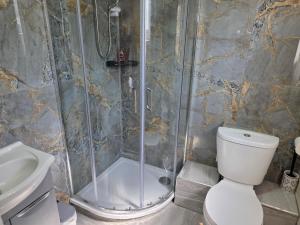 a bathroom with a shower and a toilet and a sink at Corner Lodge in Eltham
