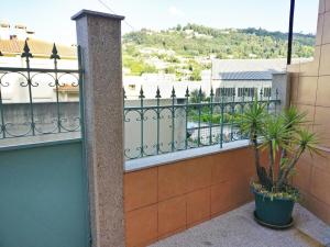 a balcony with a plant in a pot at Flat with nice view in Gualtar, Braga in Braga