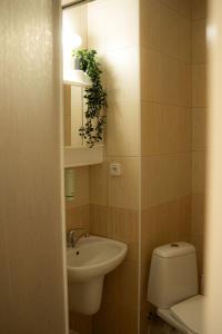 a bathroom with a sink and a toilet and a mirror at Kotlina smart hotel in Rožňava
