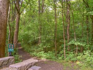 a trail in a wooded area with two benches at Huddersfield House, Wood View in Huddersfield +16 photos