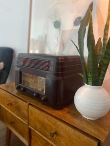 an old radio and a vase with a plant on a dresser at Newport Cottage sleeps 5 in Newport