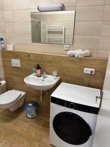 a bathroom with a washing machine and a sink at Apartmány Mikulčice in Mikulčice +42 photos