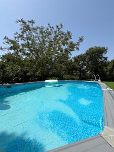 a large blue swimming pool with a tree in the background at Casa vacanze Selene in Bolsena
