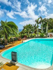 a large swimming pool with palm trees in the background at Maison d'hôtes Villa des Mascareignes in Petite Île +39 photos