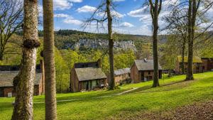 a group of houses in a field with trees at Havane13 in Hastière-par-delà