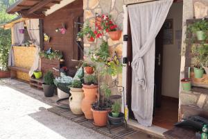 a bunch of potted plants on the side of a building at Il Casaletto del Terminillo in Rieti