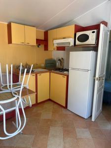 a small kitchen with a white refrigerator and a microwave at Sous les étoiles de St georges in Lazer