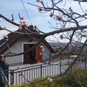 a house with a flowering tree in front of it at Panorama Wine & Chill in Hévíz