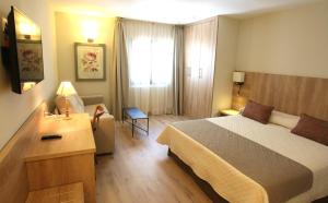 Habitación de hotel con cama y escritorio en Hotel & Spa Real Villa Anayet, en Canfranc-Estación