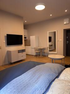a bedroom with a bed and a flat screen tv at Furman's Court in Lublin