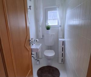 a small bathroom with a toilet and a sink at Ferienhaus Spengler in Beuren
