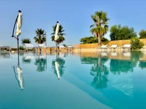 a swimming pool with blue water and palm trees at B&B Helios in Nardò