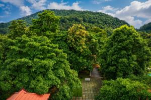 an overhead view of a forest of trees and a building at Athirappilly Rainland Resort in Athirappilly