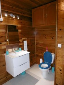 a bathroom with a blue toilet and a sink at Le ptit coin mont vert in Saint-Pierre
