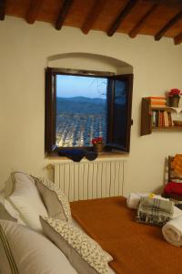 A seating area at Fattoria Casa Sola
