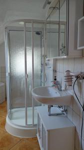 a bathroom with a shower and a sink at Pension & Ferienwohnung Eitler in Aue-Bad Schlema +10 photos