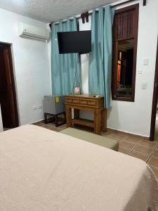 a bedroom with a bed and a desk and a television at Kaa Zihil Hotel in Playa del Carmen