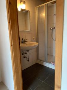 a bathroom with a sink and a shower at Adler Stetten ob Lontal in Niederstotzingen